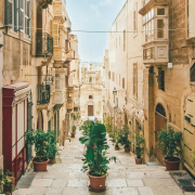 Malta network updates Malta network updates