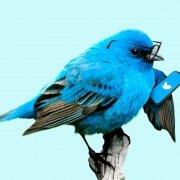 Twitter – Blue bird with glasses holding a smartphone with Twitter’s logo Twitter - Blue bird with glasses holding a smartphone with Twitter's logo