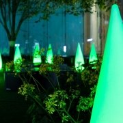 Night garden with plants and green lights Night garden with plants and green lights