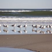 GlobalCom PR Network GlobalCom PR Network