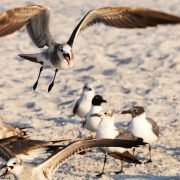 GlobalCom PR Network GlobalCom PR Network