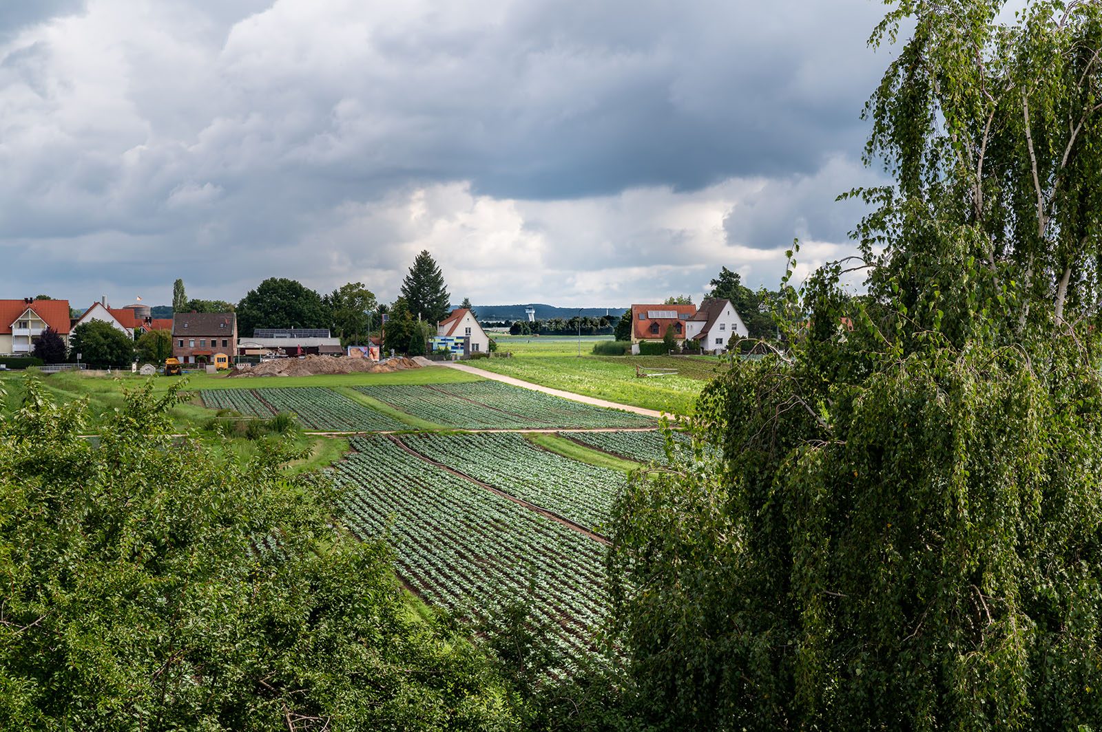 Grüne Perspektiven im Hotel Grüne Elster